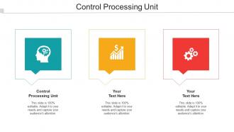 Control Processing Unit Ppt Powerpoint Presentation Show Aids Cpb