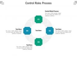 Control risks process ppt powerpoint presentation professional rules cpb