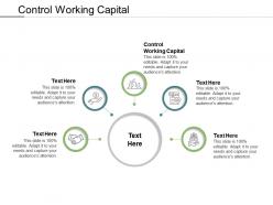 Control working capital ppt powerpoint presentation show demonstration cpb
