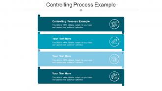 Controlling process example ppt powerpoint presentation layouts elements cpb