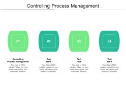 Controlling process management ppt powerpoint presentation layouts design ideas cpb