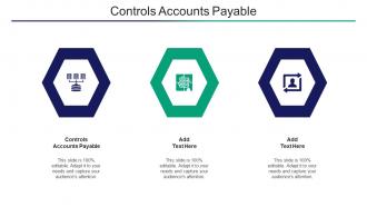 Controls Accounts Payable Ppt Powerpoint Presentation Pictures Maker Cpb