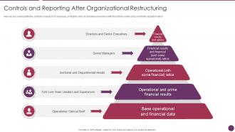 Controls And Reporting After Organizational Company Reorganization Process
