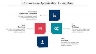 Conversion optimization consultant ppt powerpoint presentation styles model cpb