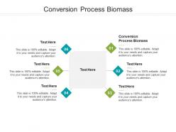Conversion process biomass ppt powerpoint presentation portfolio designs download cpb