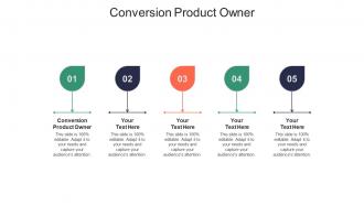 Conversion product owner ppt powerpoint presentation styles brochure cpb