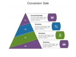 Conversion sale ppt powerpoint presentation outline guidelines cpb