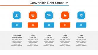 Convertible Debt Structure Ppt Powerpoint Presentation Infographic Template Cpb
