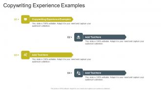 Copywriting Experience Examples In Powerpoint And Google Slides Cpb