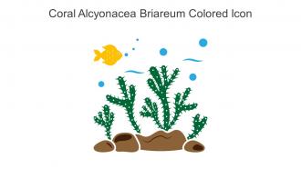 Coral Alcyonacea Briareum Colored Icon In Powerpoint Pptx Png And Editable Eps Format