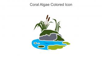 Coral Algae Colored Icon In Powerpoint Pptx Png And Editable Eps Format