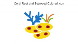 Coral Reef And Seaweed Colored Icon In Powerpoint Pptx Png And Editable Eps Format