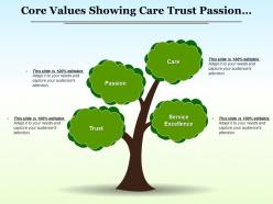 Core values showing care trust passion service excellence