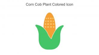 Corn Cob Plant Colored Icon In Powerpoint Pptx Png And Editable Eps Format
