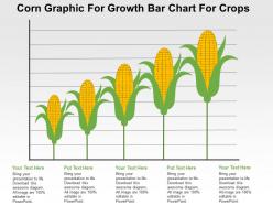 Corn graphic for growth bar chart for crops flat powerpoint design