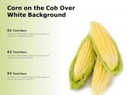 Corn on the cob over white background