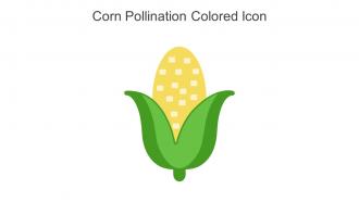 Corn Pollination Colored Icon In Powerpoint Pptx Png And Editable Eps Format