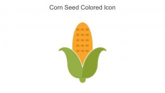 Corn Seed Colored Icon In Powerpoint Pptx Png And Editable Eps Format