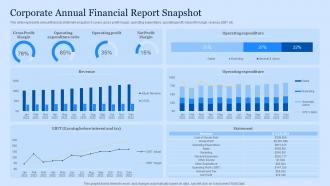 Corporate Annual Financial Report Snapshot