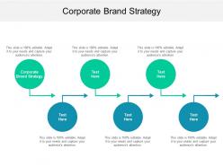 Corporate brand strategy ppt powerpoint presentation layouts example topics cpb