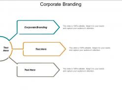 Corporate branding ppt powerpoint presentation ideas summary cpb