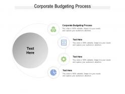 Corporate budgeting process ppt powerpoint presentation slides vector cpb