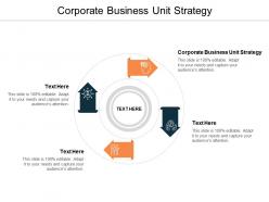 Corporate business unit strategy ppt powerpoint presentation layouts themes cpb