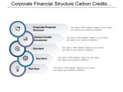 Corporate financial structure carbon credits investment operations technology management cpb
