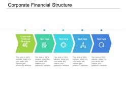 Corporate financial structure ppt powerpoint presentation portfolio inspiration cpb
