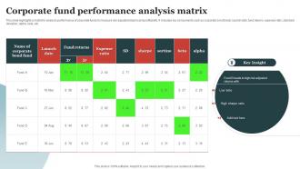 Corporate Fund Performance Analysis Matrix