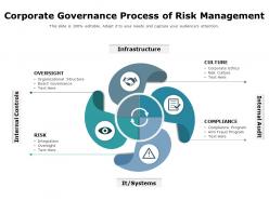 Corporate governance process of risk management