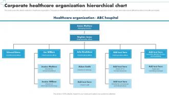 Corporate Healthcare Organization Hierarchical Chart