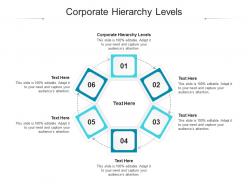 Corporate hierarchy levels ppt powerpoint presentation show example topics cpb