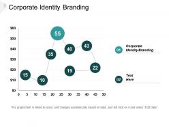 Corporate identity branding ppt powerpoint presentation portfolio template cpb