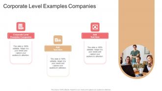 Corporate Level Examples Companies In Powerpoint And Google Slides Cpb