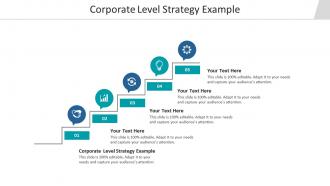 Corporate level strategy example ppt powerpoint presentation show inspiration cpb