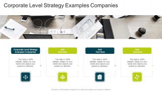 Corporate Level Strategy Examples Companies In Powerpoint And Google Slides Cpb