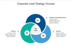 Corporate level strategy focuses ppt powerpoint presentation show display cpb