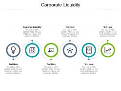 Corporate liquidity ppt powerpoint presentation show graphics design cpb