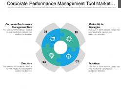 Corporate performance management tool market niche strategies differentiation strategy cpb