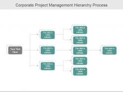 Corporate project management hierarchy process