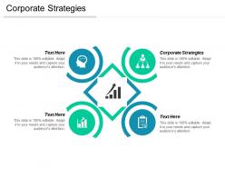 Corporate strategies ppt powerpoint presentation file influencers cpb