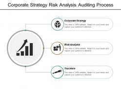 Corporate strategy risk analysis auditing process critical risk management cpb