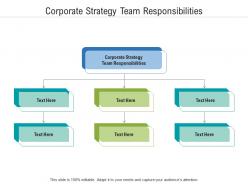 Corporate strategy team responsibilities ppt powerpoint presentation infographic template styles cpb