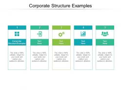 Corporate structure examples ppt powerpoint presentation infographic template outfit cpb