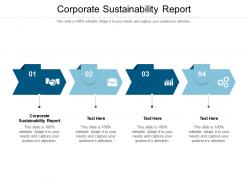 Corporate sustainability report ppt powerpoint presentation outline slide portrait cpb