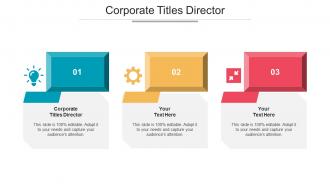 Corporate Titles Director Ppt Powerpoint Presentation Professional Samples Cpb
