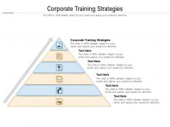 Corporate training strategies ppt powerpoint presentation guide cpb