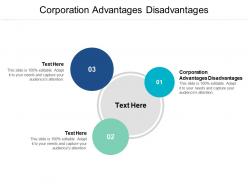 Corporation advantages disadvantages ppt powerpoint presentation visual aids portfolio cpb