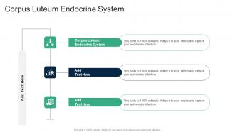Corpus Luteum Endocrine System In Powerpoint And Google Slides Cpb